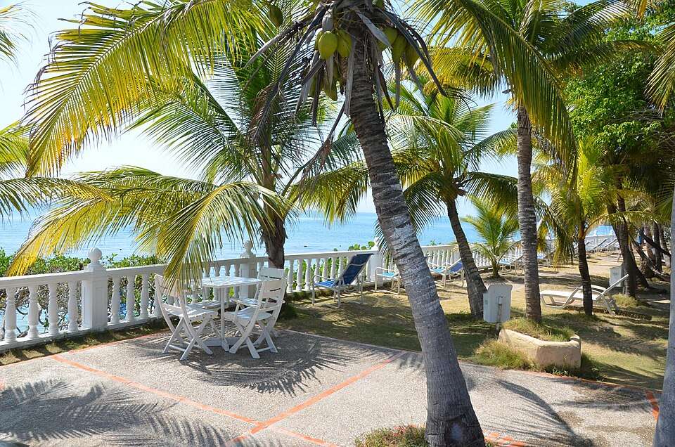 Palms over the Caribbean on Isla Grande, Rosario Islands